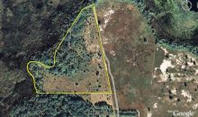 NORTHEAST 3RD CT Citra, FL 32113