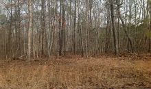 2 Harmony Oaks Trail Canton, GA 30114