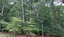 2215 Manor Creek Court Cumming, GA 30041