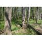 717 Mountainbrooke Circle, Stone Mountain, GA 30087 ID:6205654
