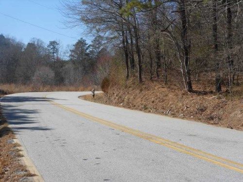 0 Mann Road, Douglasville, GA 30134