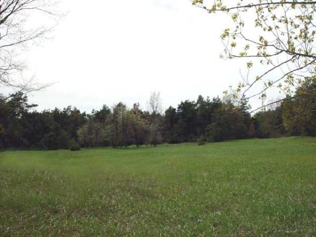 Harlan Rd, Copemish, MI 49625