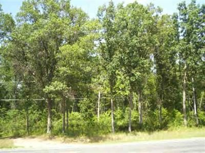 17100 Caberfae Hwy, Wellston, MI 49689
