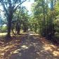Vz County Road 1313 #2303, Canton, TX 75103 ID:969278