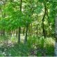 Lot 42 Table Rock Dr., Eureka Springs, AR 72631 ID:1162553