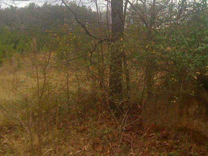 4880 Scarborough Road, Ellenwood, GA 30294