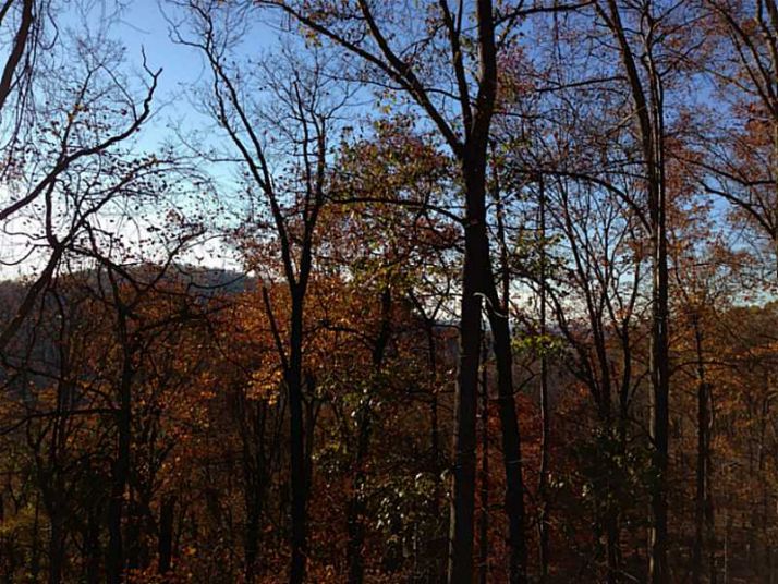 35 Valley View Trail, Jasper, GA 30143