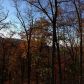 35 Valley View Trail, Jasper, GA 30143 ID:2682245