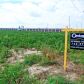 4855 Hwy 18, Blytheville, AR 72315 ID:1115848