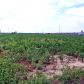 4855 Hwy 18, Blytheville, AR 72315 ID:1115849