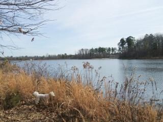 25/13 Cielo10 Carpintero Lane, Hot Springs Village, AR 71909