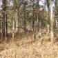 25/13 Cielo10 Carpintero Lane, Hot Springs Village, AR 71909 ID:1353617
