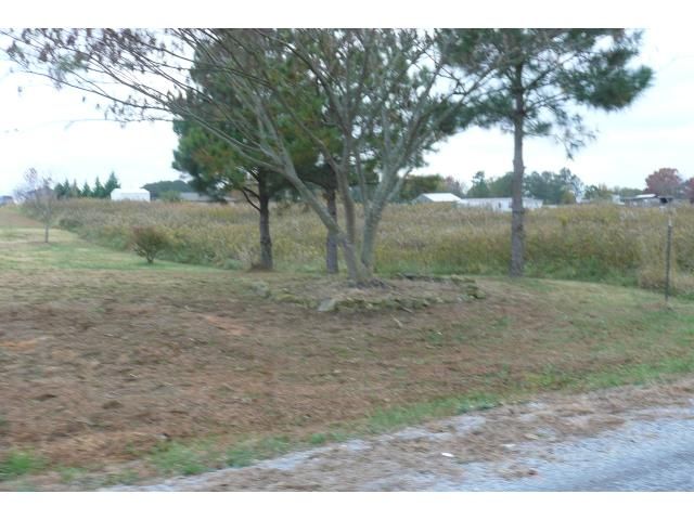0 County Road 7001, Cullman, AL 35058