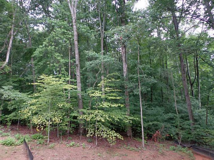 2215 Manor Creek Court, Cumming, GA 30041