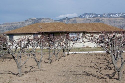 528 36 Road, Palisade, CO 81526