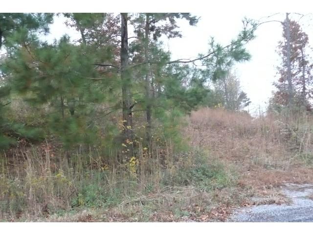 341 Co Rd 7001, Cullman, AL 35058