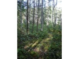 7580 S Rubacaba Street, Wasilla, AK 99654