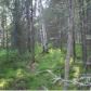 7580 S Rubacaba Street, Wasilla, AK 99654 ID:1080129