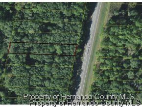 L 47 Treiman Blvd Blvd, Webster, FL 33597