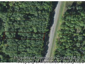 L 48 Treiman Blvd Blvd, Webster, FL 33597