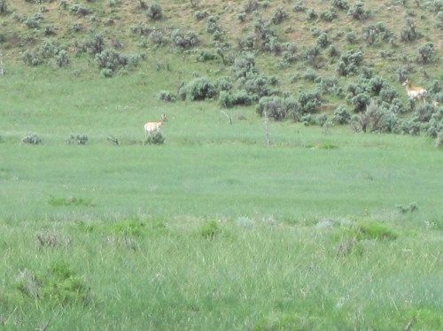 Lot 1 Rbcr 71, Meeker, CO 81641