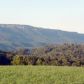 910and32 Castine, Ewing, VA 24248 ID:932763