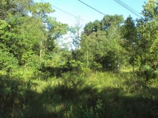 44 NE 828 St, Old Town, FL 32680