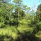 44 NE 828 St, Old Town, FL 32680 ID:3998396