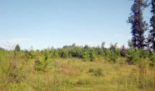 00 Hogan Road Virgilina, VA 24598