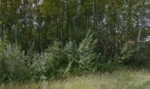 350 N Southway Wasilla, AK 99654