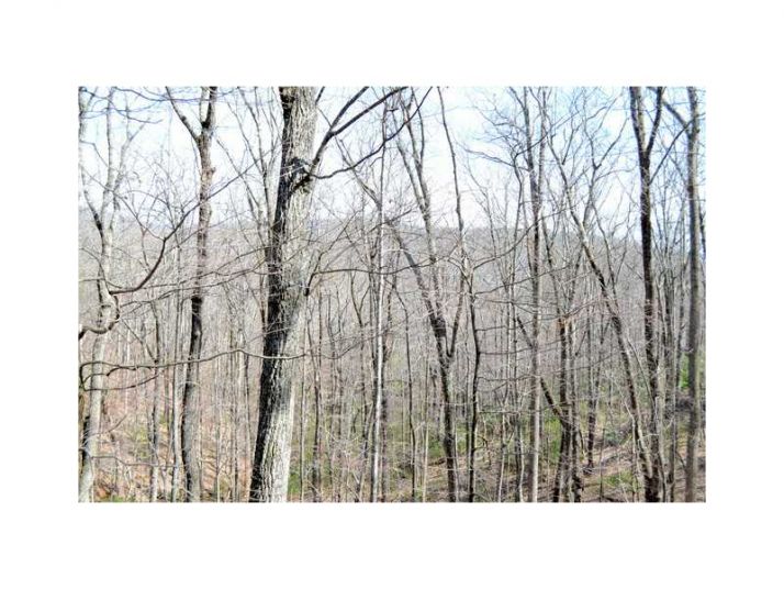 3488 Wilderness Parkway, Greensboro, GA 30642