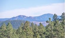 8 Pine Valley Road Pine, CO 80470