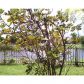 10135 SW 163 AV, Miami, FL 33196 ID:6562508