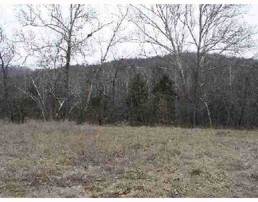 0 WILD TURKEY DRIVE, Eureka Springs, AR 72631