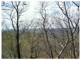 42 Cochise Dr, Eureka Springs, AR 72631