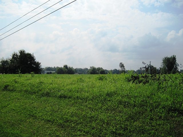 00 CHESTNUT LOT 12, Eddyville, KY 42038