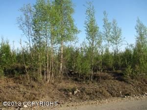 519 S Lazy Lake Drive, Big Lake, AK 99652
