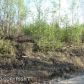 519 S Lazy Lake Drive, Big Lake, AK 99652 ID:6340702