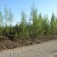 519 S Lazy Lake Drive, Big Lake, AK 99652 ID:6340703