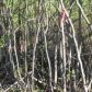 519 S Lazy Lake Drive, Big Lake, AK 99652 ID:6340705