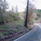 175 UPPER SMITH RIVER RD, Drain, OR 97435 ID:6258412