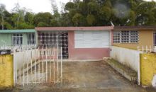 Xx-2 26 St Villas De Rio Verde Caguas, PR 00725