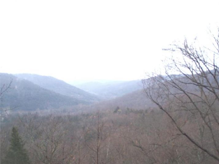 166 Hawk Dr., Eureka Springs, AR 72631
