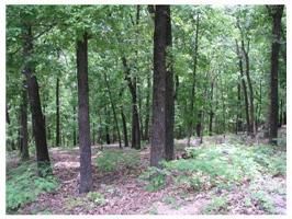 6 Doral Ln, Eureka Springs, AR 72631
