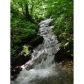 442 Seven Springs Road, Dawsonville, GA 30534 ID:6198264