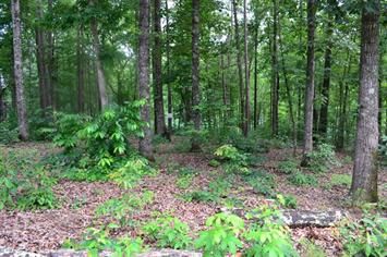 Lot 95 Keowee Falls South Town Apn, Salem, SC 29676