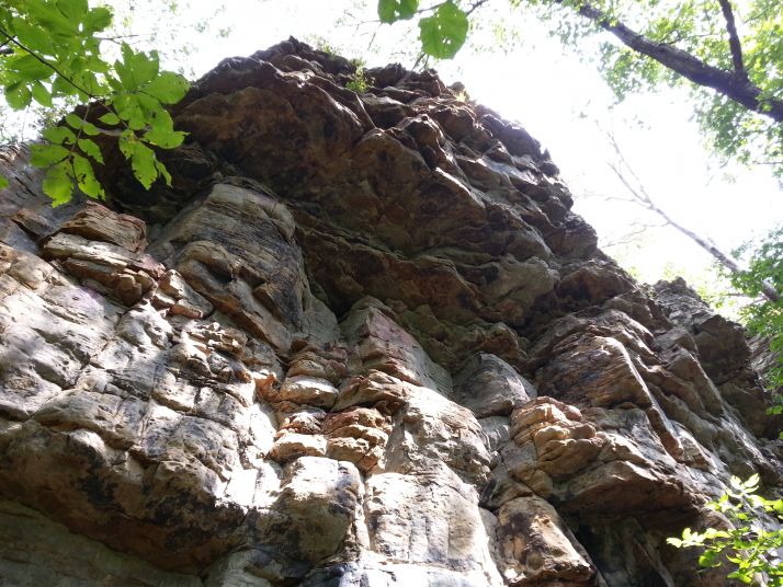 CR 3605, Kingston, AR 72742