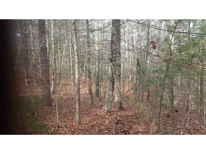 0 Mountainside Drive, Rabun Gap, GA 30568