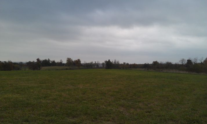 CR 3605, Maysville, AR 72747