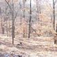 10 Mercury Ln, Eureka Springs, AR 72631 ID:1168195